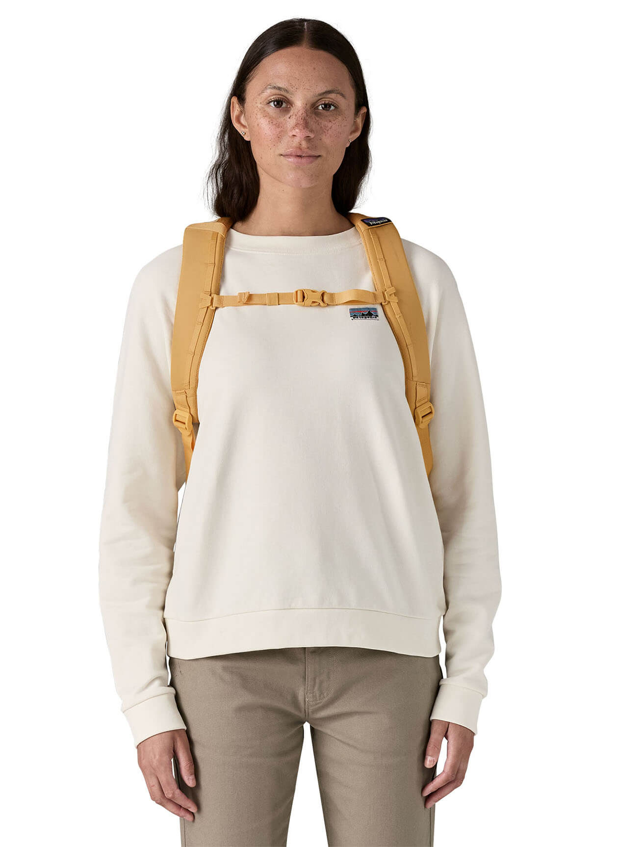 Patagonia Refugio Daypack Backpack 26L