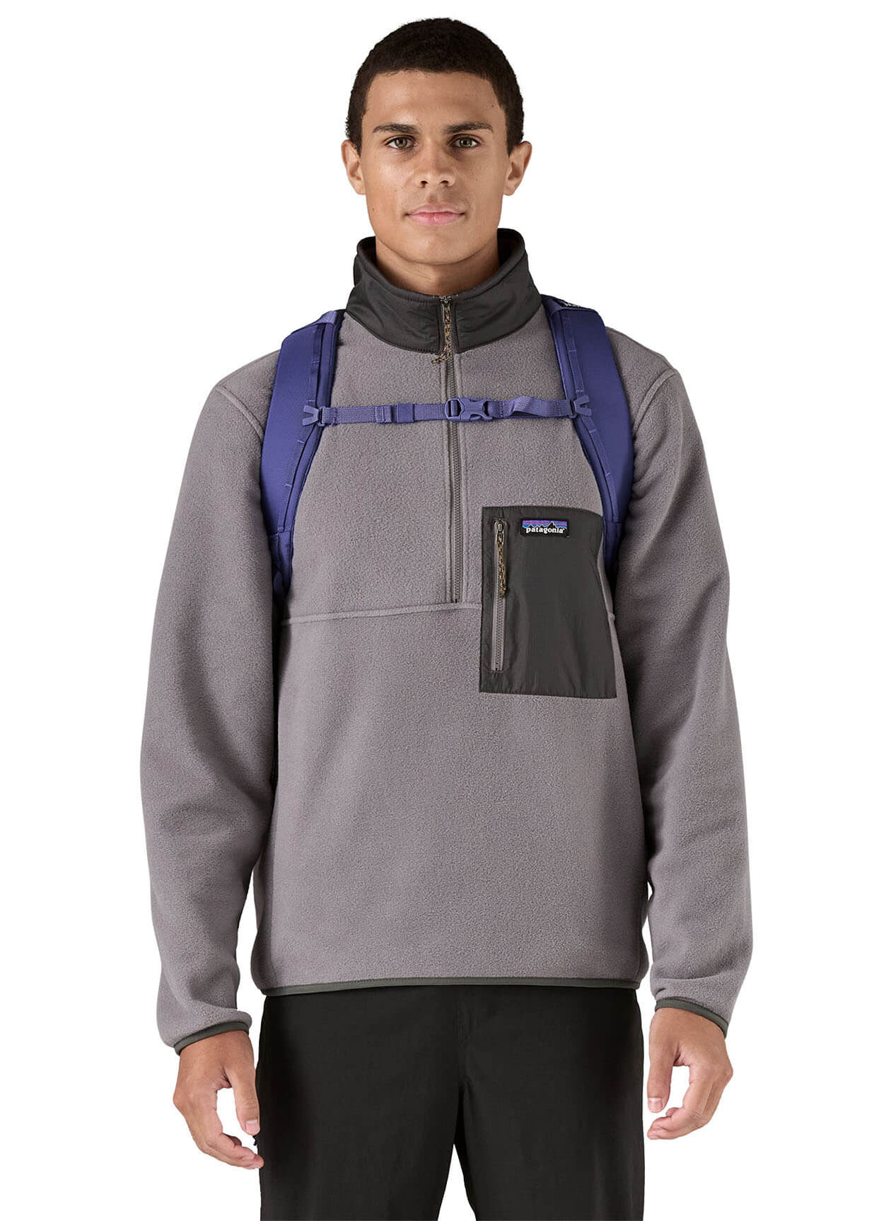 Patagonia Refugio Daypack Backpack 26L