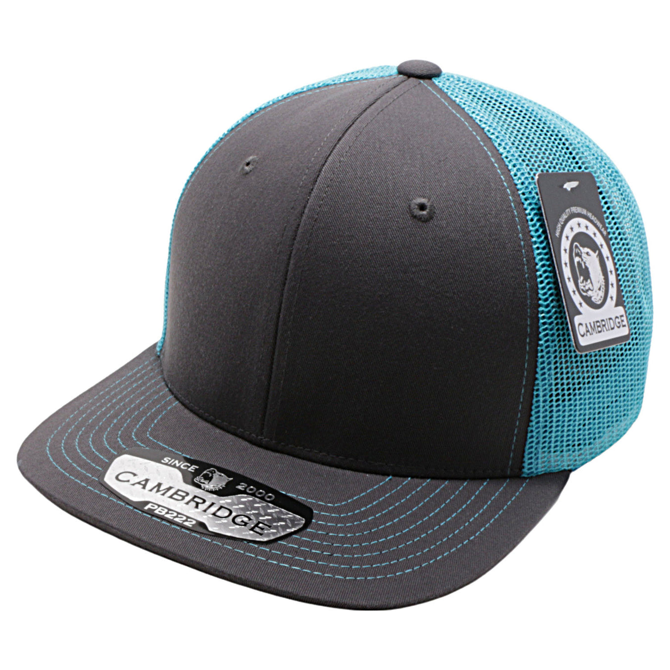Charcoal/Neon Blue color variant