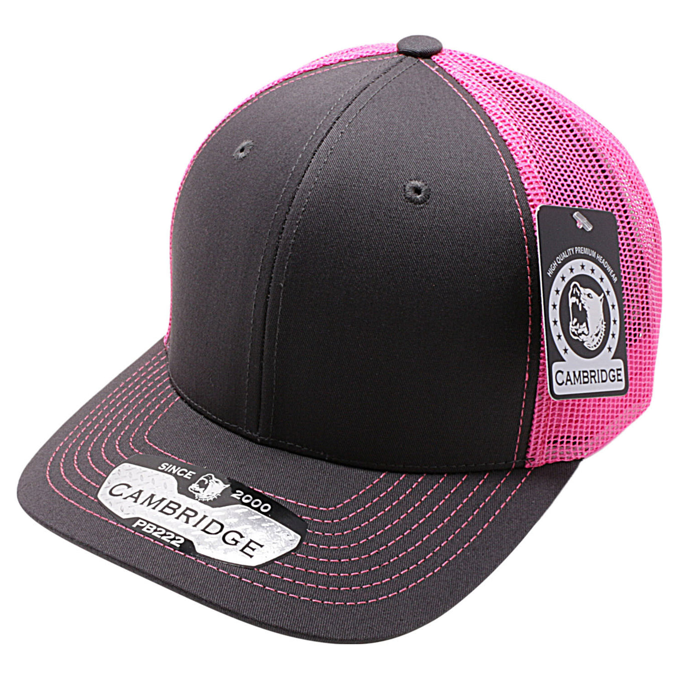 Charcoal/Neon Pink color variant