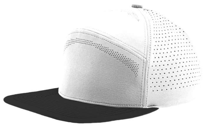 Off White-Black Bill color variant